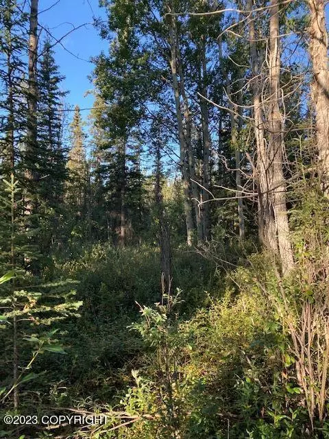 Mile 6.9 Old Edgerton Road, Copper Center, AK 99573