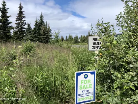 33755 Sterling Hwy, Anchor Point, AK 99556