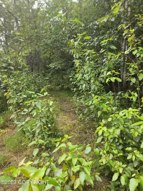 25702 Imperial Dr, Eagle River, AK 99577 photo 3
