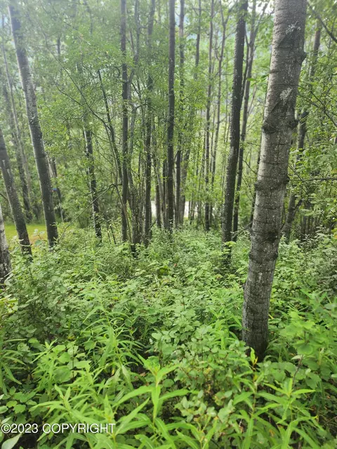 25702 Imperial Dr, Eagle River, AK 99577 photo 4