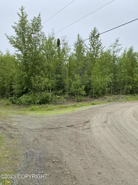 15879 W Wilma St, Big Lake, AK 99652