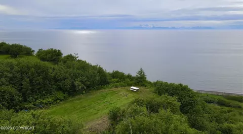 000 Shorebird Ln, Anchor Point, AK 99556
