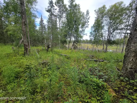 L20&21 Baranoff Circle, Nikiskinorth Kenai, AK 99635