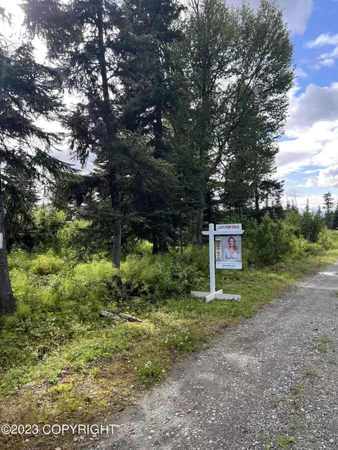 L23 Ryabina Road, Nikolaevsk, AK 99556