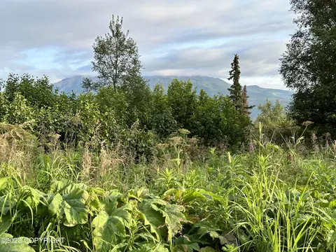 000 Kirk Ave, Eagle River, AK 99577 photo 2