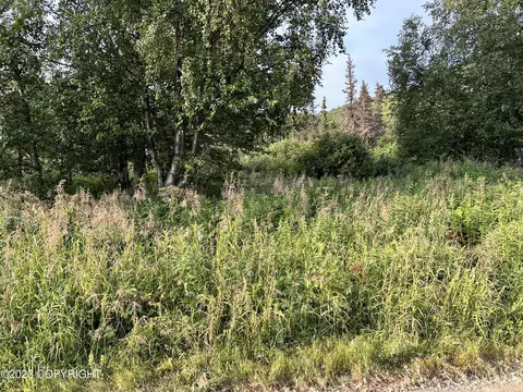 000 Kirk Ave, Eagle River, AK 99577 photo 3
