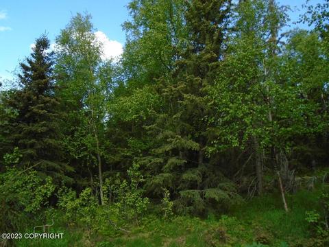 L11 Southpark Bluff Drive, Anchorage, AK 99516