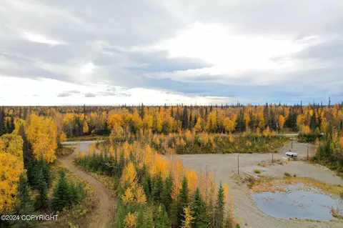 45855 Holt-lamplight Rd, Nikiskinorth Kenai, AK 99611