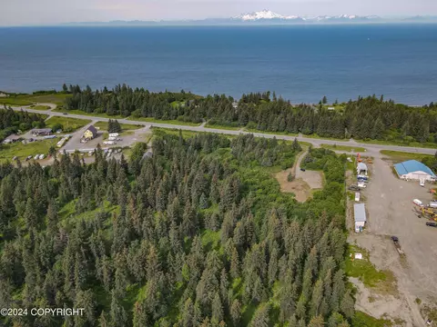 30720 Sterling Hwy, Anchor Point, AK 99556