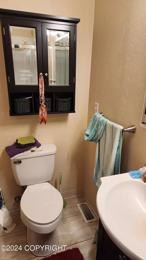 Bath - 715 E Barra Loop, Wasilla, AK 99654 photo 3 of 3