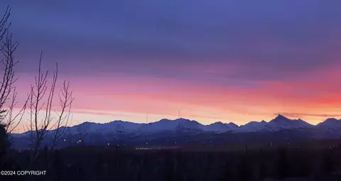 2031 Casey Cusack Loop, Anchorage, AK 99515 photo 28