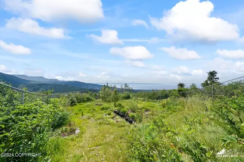 View/Area - 13520 Sunshine Loop, Anchorage, AK 99516 photo 2 of 22