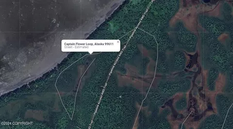 62385 Captains Flower Loop, Remote, AK 99635 photo 2