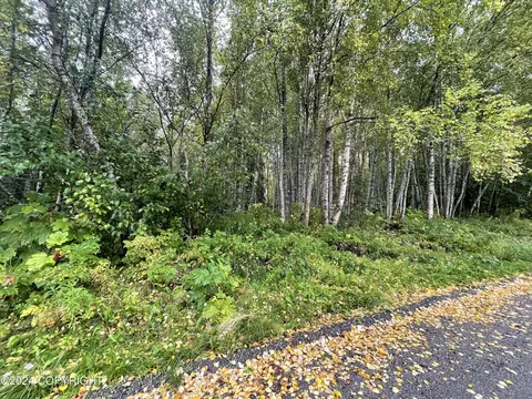 L5 Marlene Avenue, Nikiskinorth Kenai, AK 99635