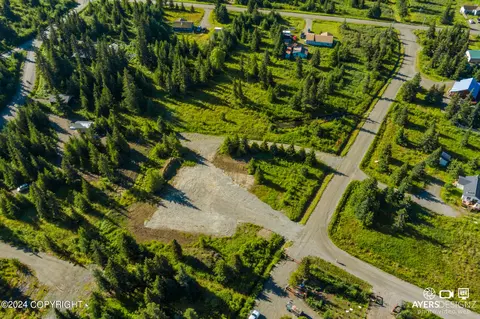 33640 Birch St, Anchor Point, AK 99556