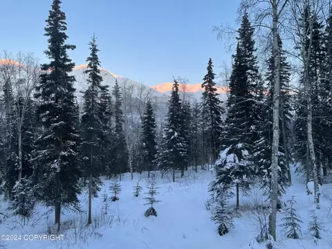 Other - 7415 River Park Cir, Eagle River, AK 99577 photo 33 of 41