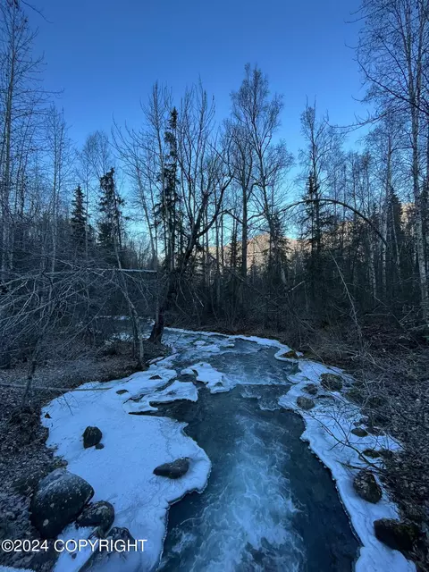 View/Area - 7415 River Park Cir, Eagle River, AK 99577 photo 11 of 11