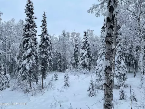 Other - 7415 River Park Cir, Eagle River, AK 99577 photo 32 of 41