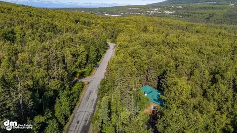 View/Area - 7415 River Park Cir, Eagle River, AK 99577 photo 10 of 11
