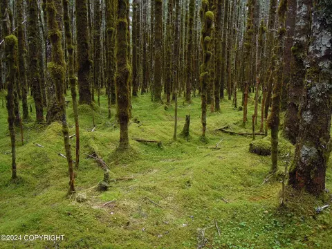 000 Nuka Bay, Seldovia, AK 99663