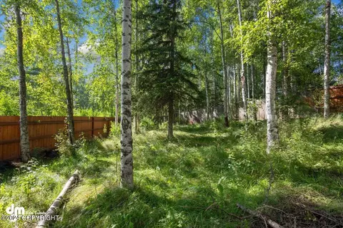 10420 Nabesna Cir, Eagle River, AK 99577 photo 40