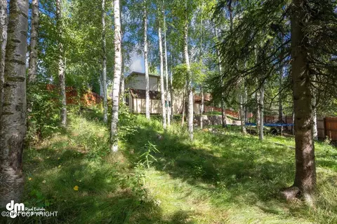 10420 Nabesna Cir, Eagle River, AK 99577 photo 41