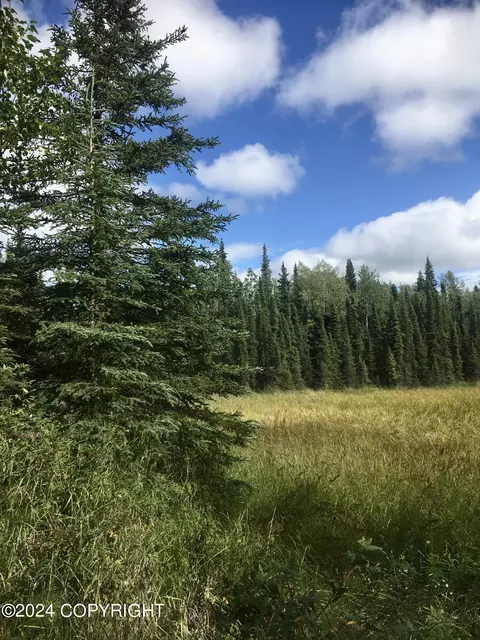 50640 Byington Rd, Kasilof, AK 99610