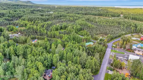 22220 Anthem Pl, Chugiak, AK 99567 photo 46
