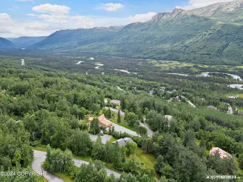 View/Area - 25642 Berryhill Rd, Eagle River, AK 99577 photo 5 of 8