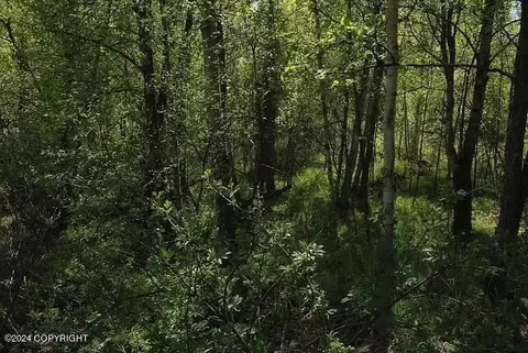 L1 B1 Horizon Drive, Wasilla, AK 99654