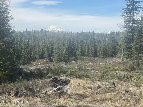 Tract 1 Clam Gulch Heights Sub, Clam Gulch, AK 99568