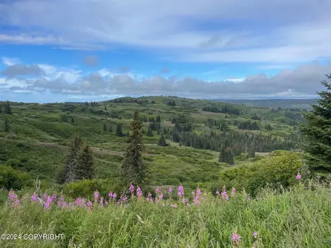 65840 Heaven Ave, Anchor Point, AK 99556