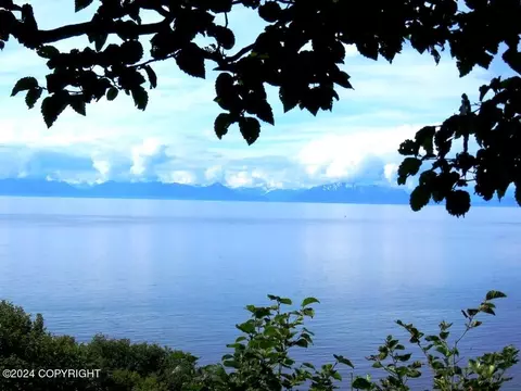 31955 Sterling Hwy, Anchor Point, AK 99556