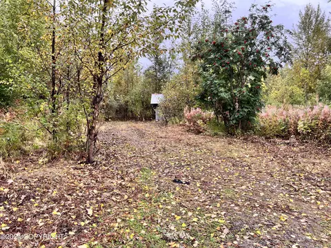 24187 W Wade Dr, Willow, AK 99688