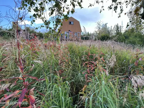 L18 B3 No Road, Skwentna, AK 99667