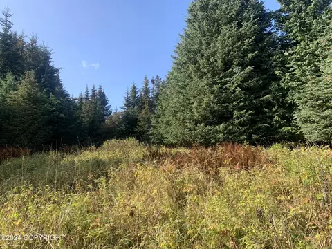 000 Halftrack St, Homer, AK 99603