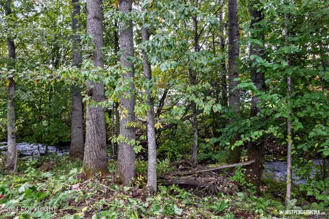 17546 Teklanika Dr, Eagle River, AK 99577 photo 48