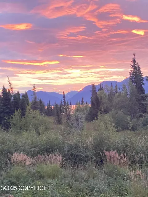 L2-3 Keyes Point, Port Alsworth, AK 99653