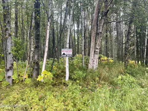L17 & 18 Myron Avenue, Nikiskinorth Kenai, AK 99635