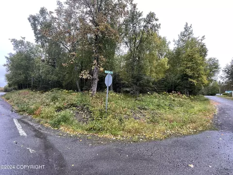 L1, Nikiskinorth Kenai, AK 99635