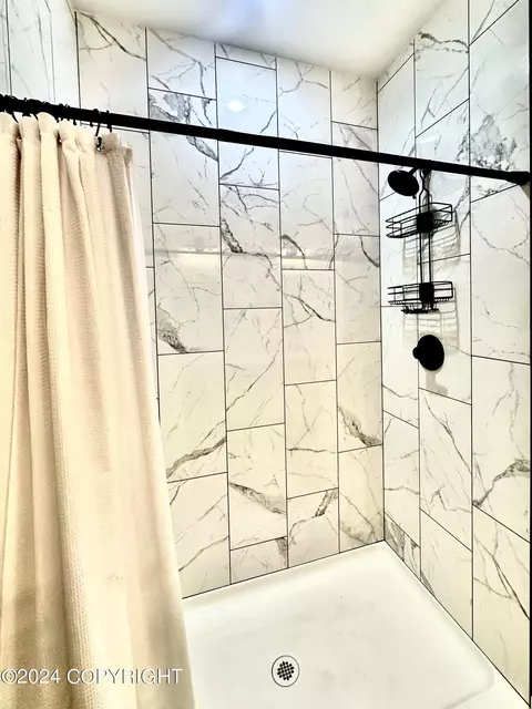Bath - 1070 E Fairview Loop, Wasilla, AK 99654 photo 3 of 4