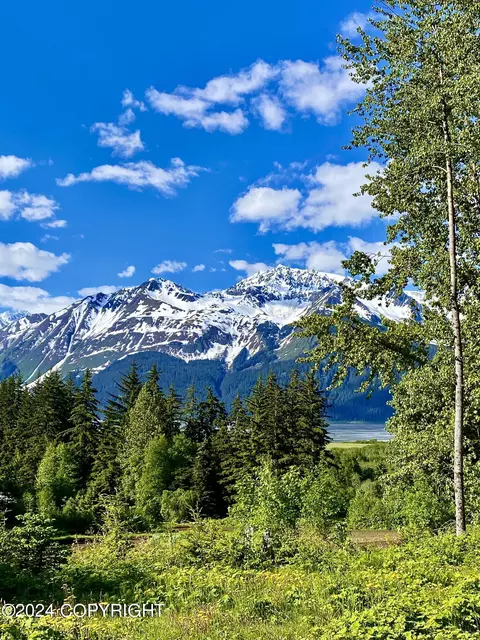 lot C Orchard Subdivision, Haines, AK 99827