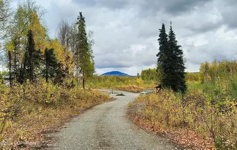 20771 E Birch Crk Blvd, Talkeetna, AK 99676