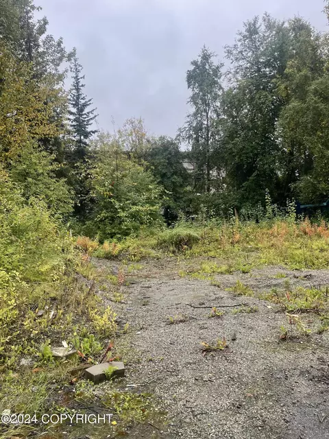 2397 Waldron Dr, Anchorage, AK 99507 photo 2