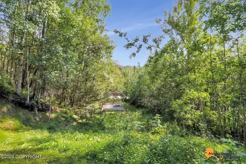 Other - 17615 Lacey Dr, Eagle River, AK 99577 photo 7 of 42