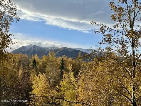 Other - 17615 Lacey Dr, Eagle River, AK 99577 photo 16 of 42