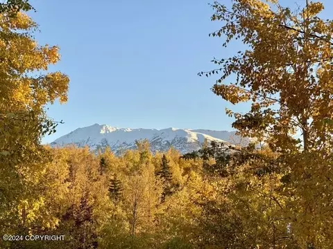 Other - 17615 Lacey Dr, Eagle River, AK 99577 photo 11 of 42