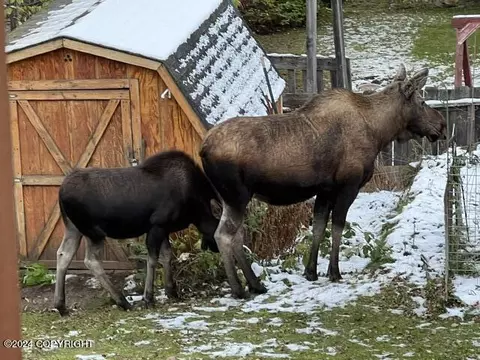Other - 17615 Lacey Dr, Eagle River, AK 99577 photo 17 of 42