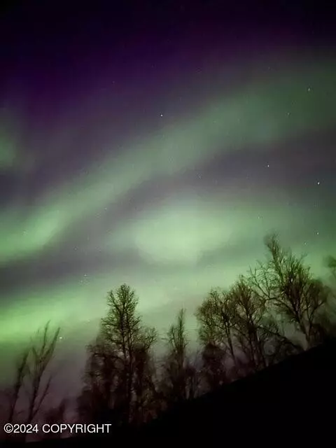 Other - 17615 Lacey Dr, Eagle River, AK 99577 photo 22 of 42