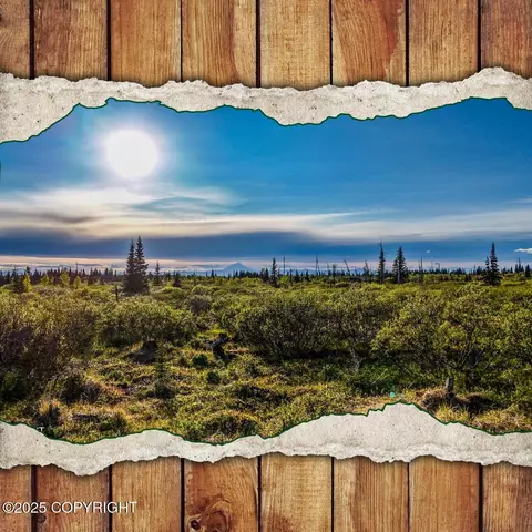 54151 Straight In Trl, Ninilchik, AK 99639